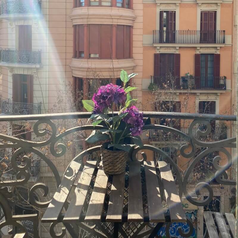 Apartments and private rooms in Barcelona